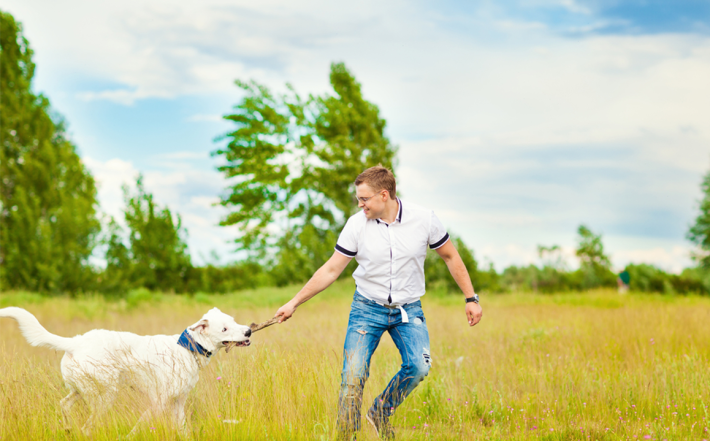 playing with a dog